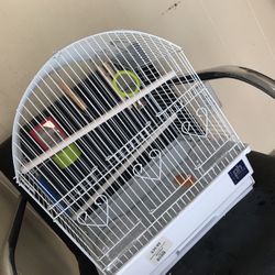 Bird Cage