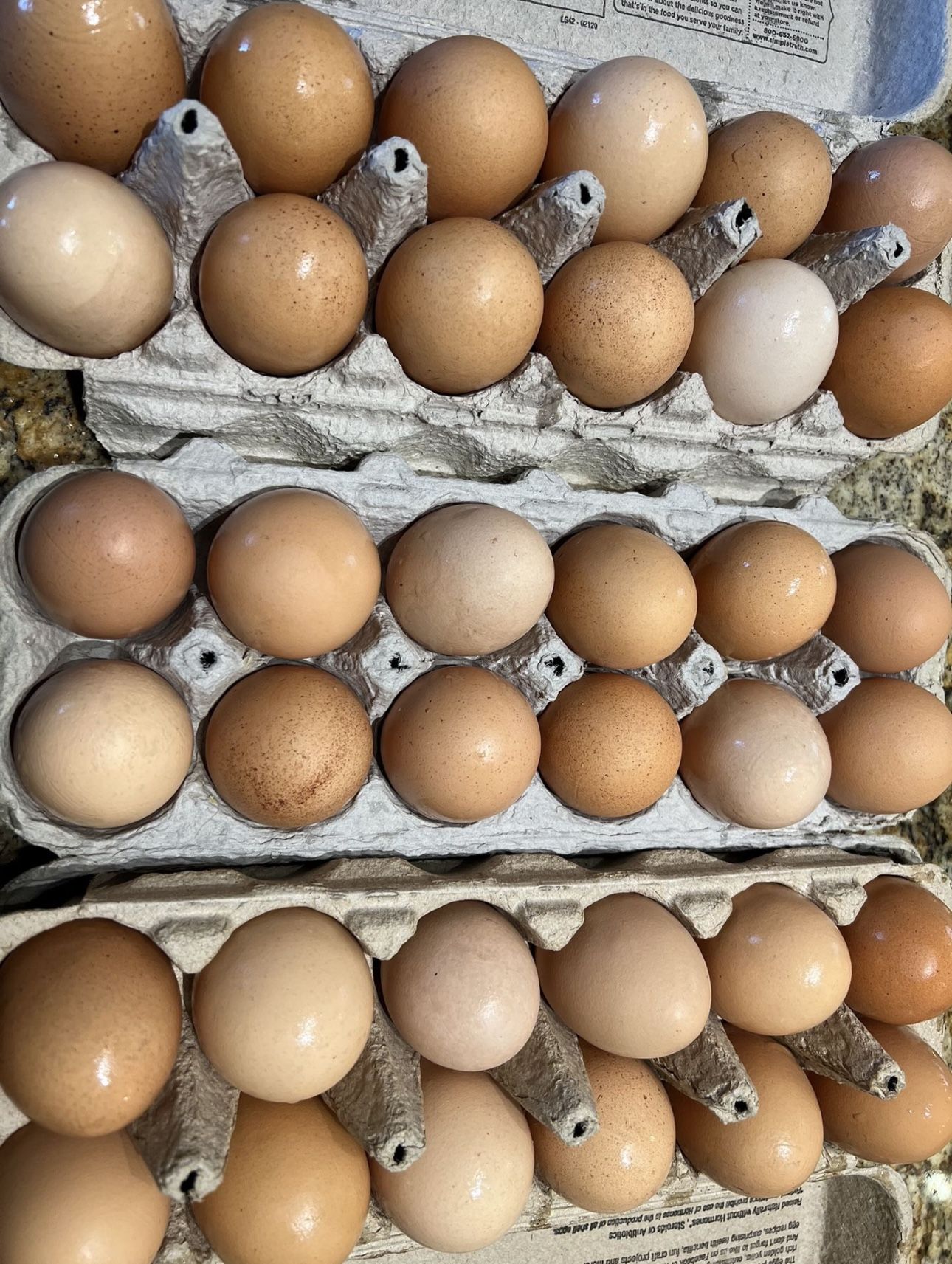Farm Fresh Organic Free Range Chicken Eggs