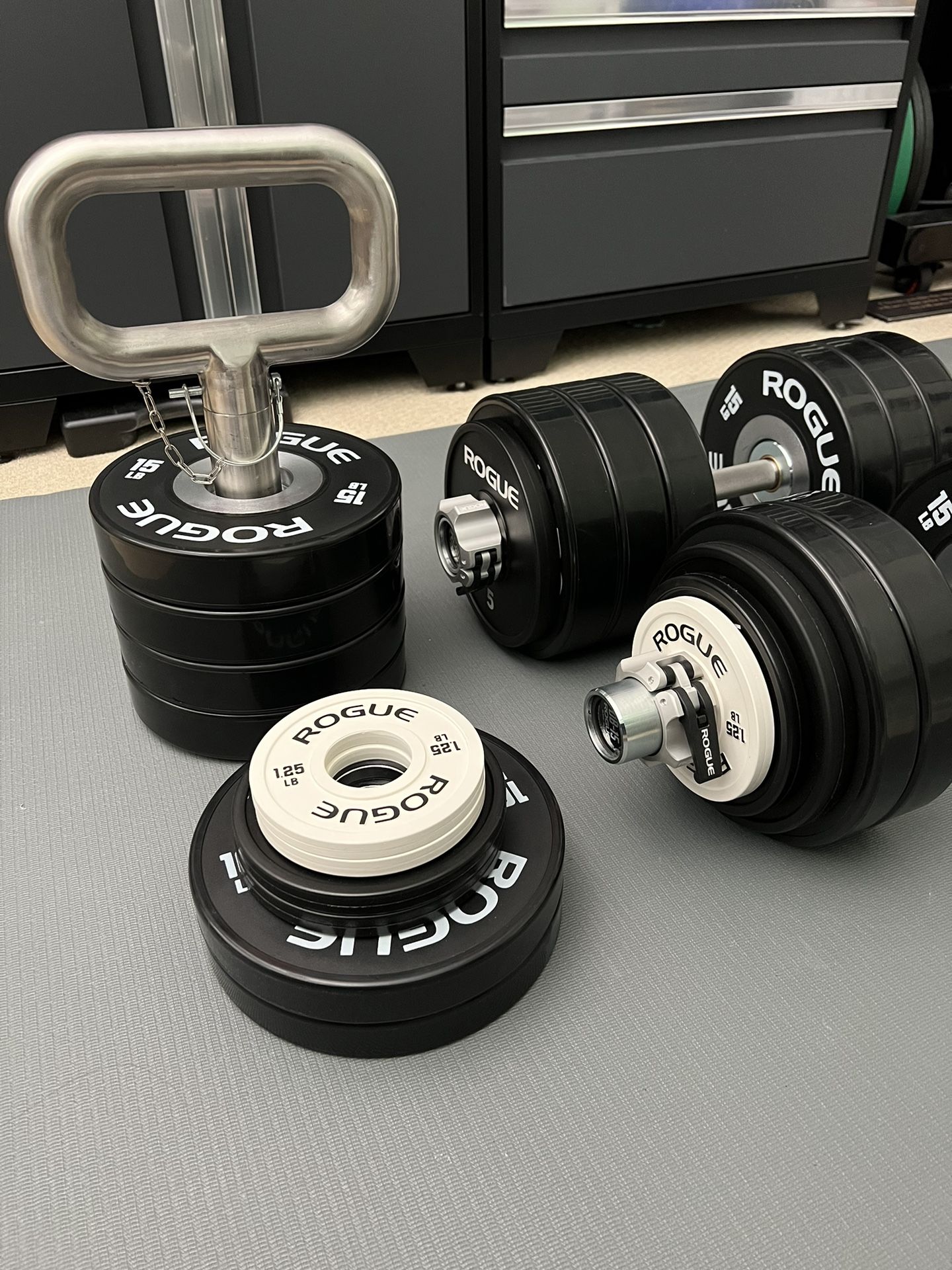 Rogue Loadable Dumbbells & Bumpers Plates for Sale in Placentia, CA