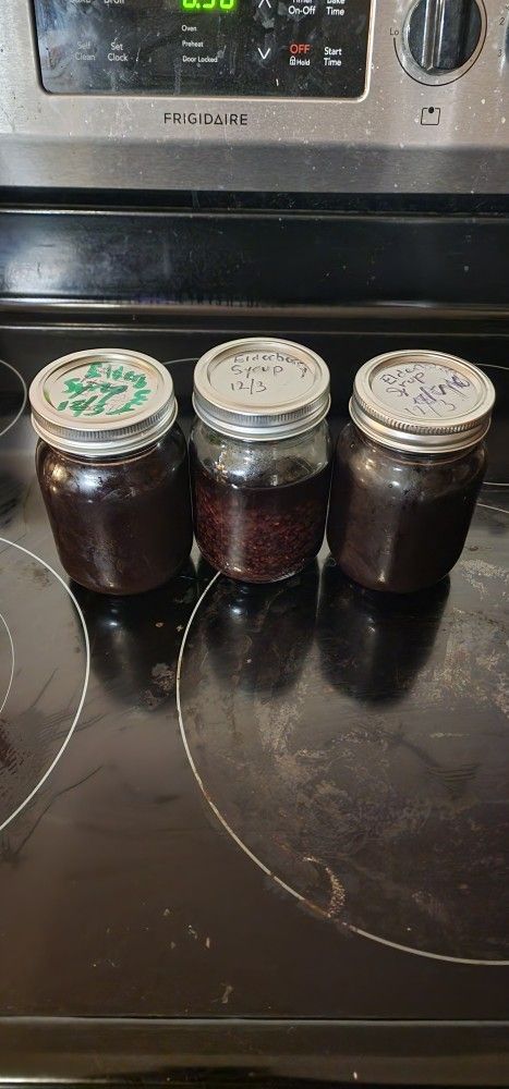 Elderberry Syrup Pint $20 Each Sold Out Of The Tinture