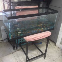 20gallon Fish Tank 