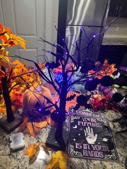 Fall & Halloween decorations