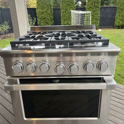 DCS Fisher and Paykel Range Oven