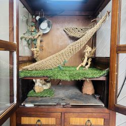 Terrarium