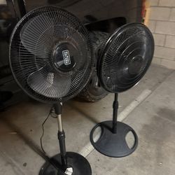 Set Of 2 Matching Fans