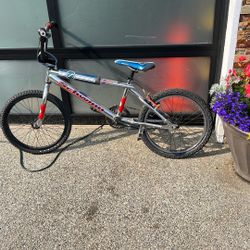 Schwinn Super Stock-Brian Foster Factory Design