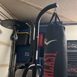 Everlast Punching Bag And Speed Bag Combination