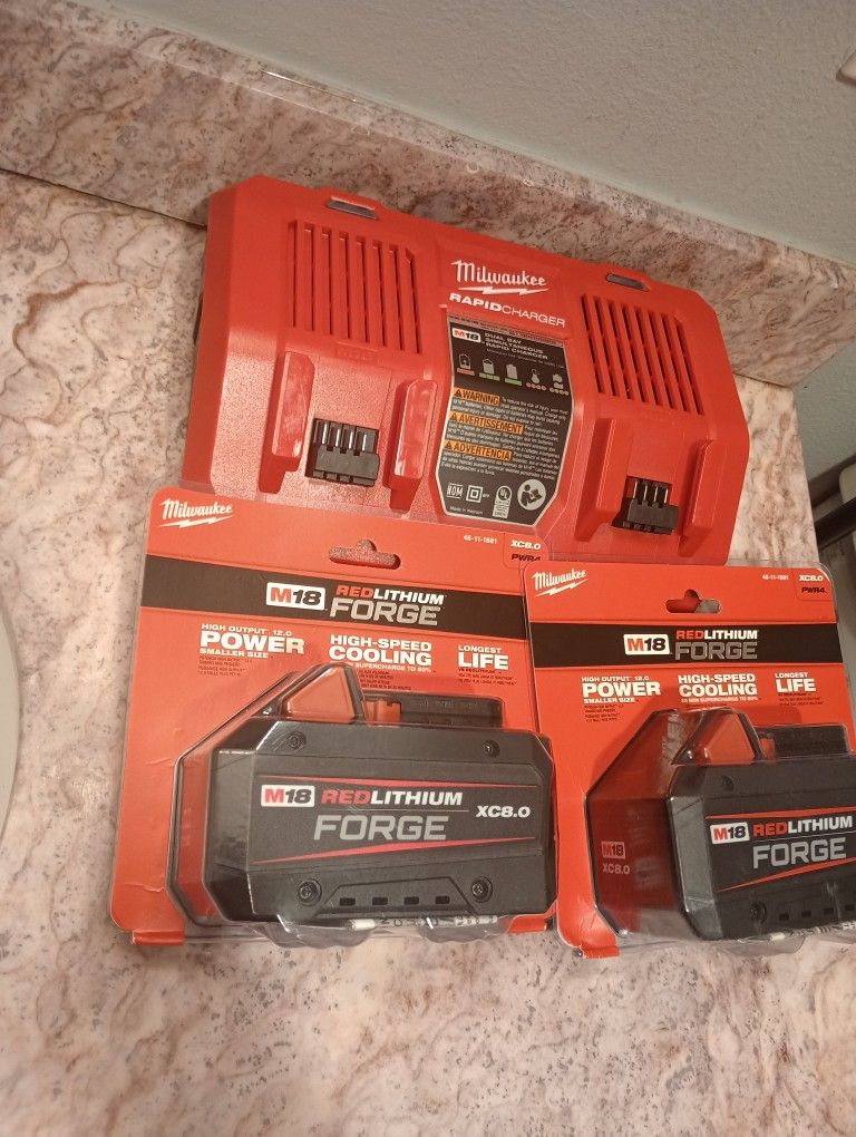 Rapidcharger charger and two new 8.0 Forge batteries
