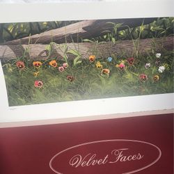 —Bob Timberlake”Velvet Faces”