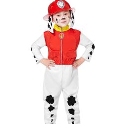 Paw Patrol Spirit Halloween Costume