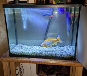 Glass Fish Tank Aquarium