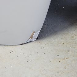 2003 element Honda hood