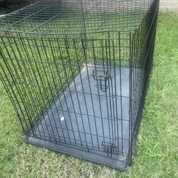 🐶🐶🐕Juala Grande Xxxl Para Perro 🐕 