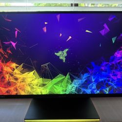 Razer 27 Inch Monitor 165Hz