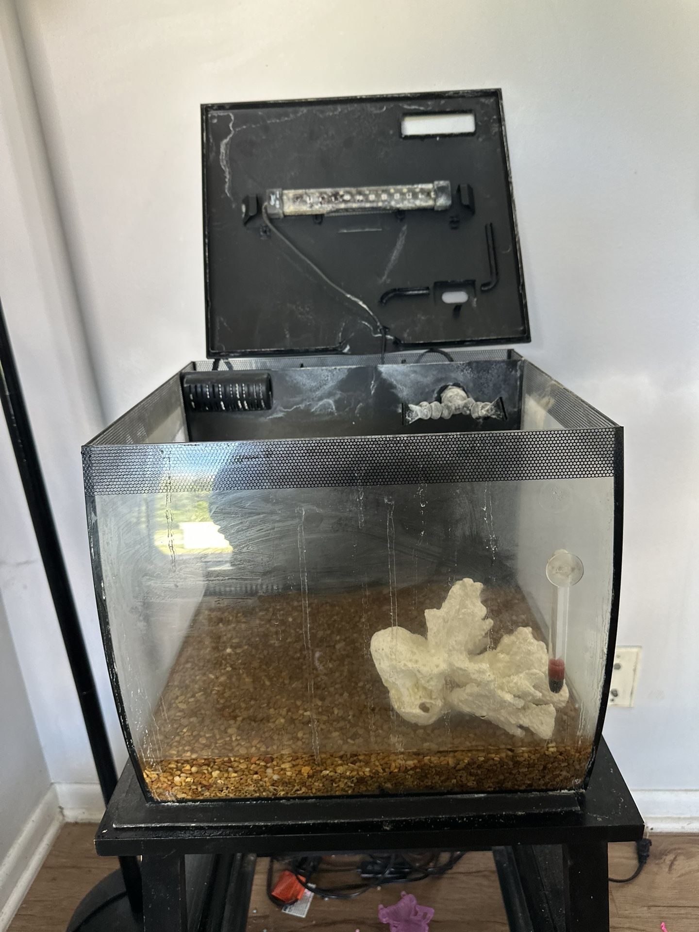 Fish Tank 10 Gallons