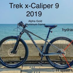 Trek X-Caliper 9 2019
