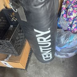 Punching Bag