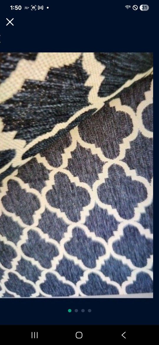 In And Outdoor Rug. $ 40
