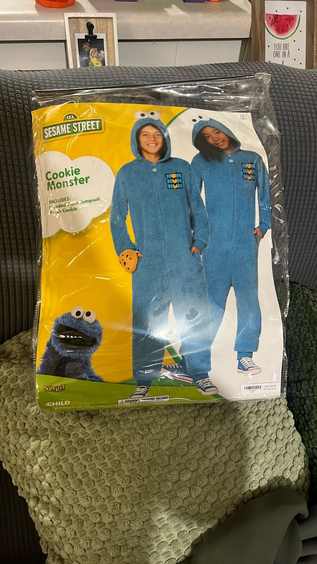 Cookie Monster Costume