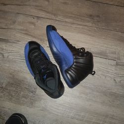 Air Jordan 12s 