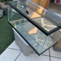 Fish Tank