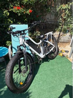 Beecool explorer E-bike