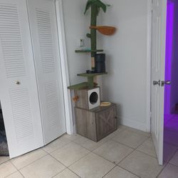 Cat Trees And Litlle Box