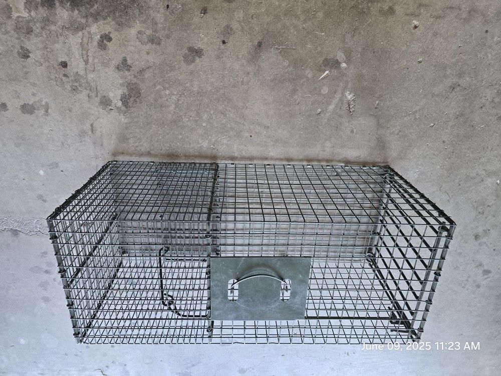 Trap For Small Animals