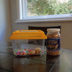 Aquatic Turtle Food And Small Fish Tank 