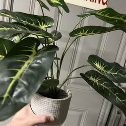 Fake Plant