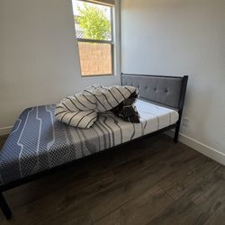 Queen Metal Platform Bed Frame — Pickup Only