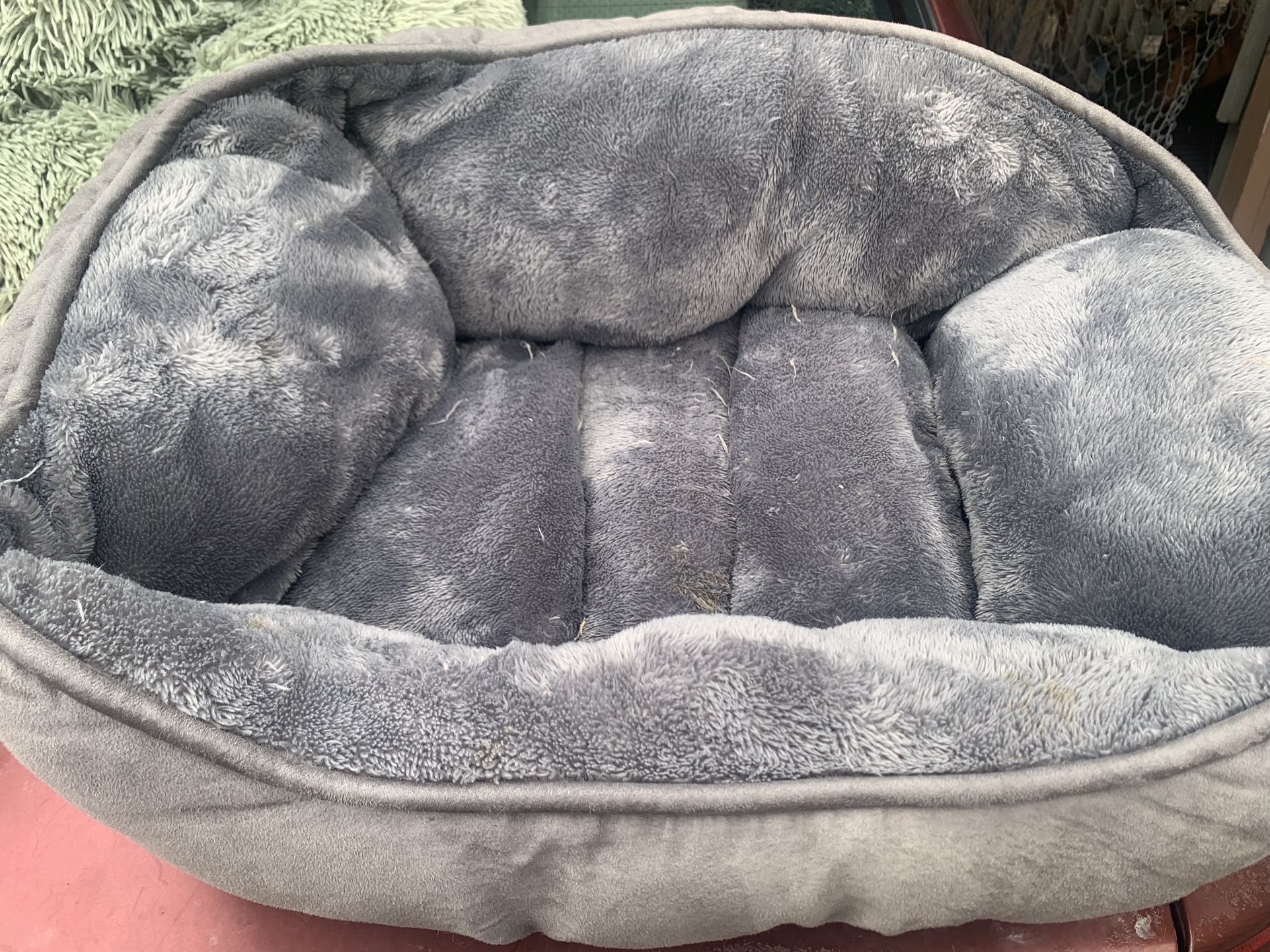 HALO: Pet Bed