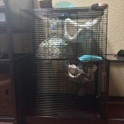 Rat Cage 