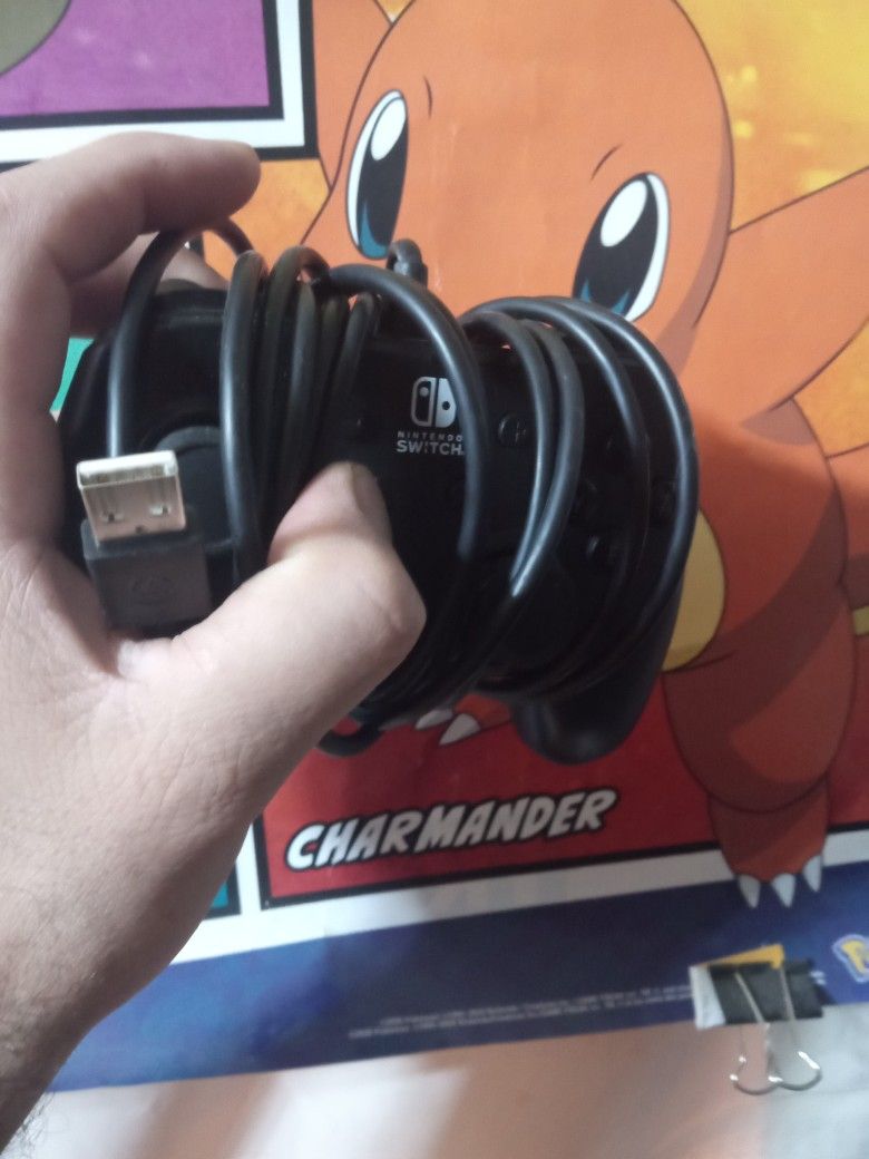 Nintendo Switch Controller