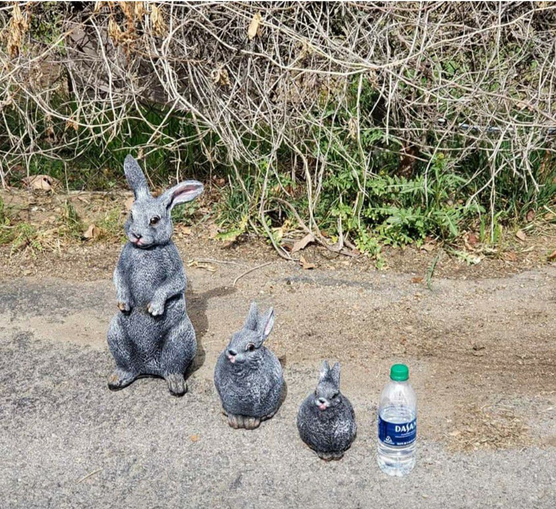Dont delete statues not real- easter rabbits pottery macetas