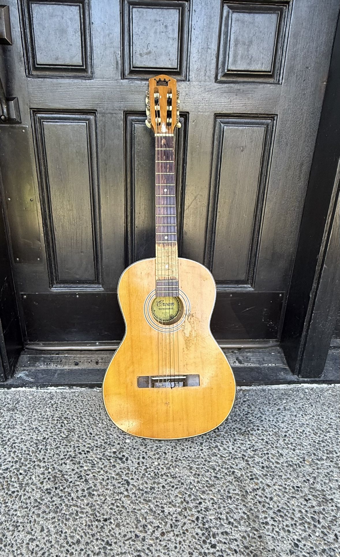 Crown Professional Guitar With Soft Case