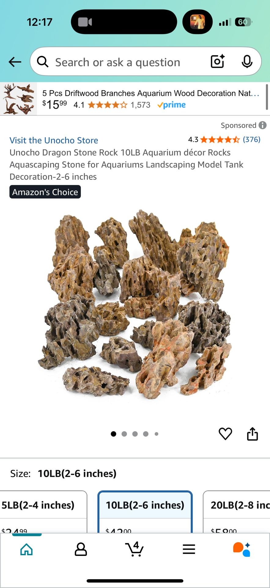 Aquarium Dragon Rocks
