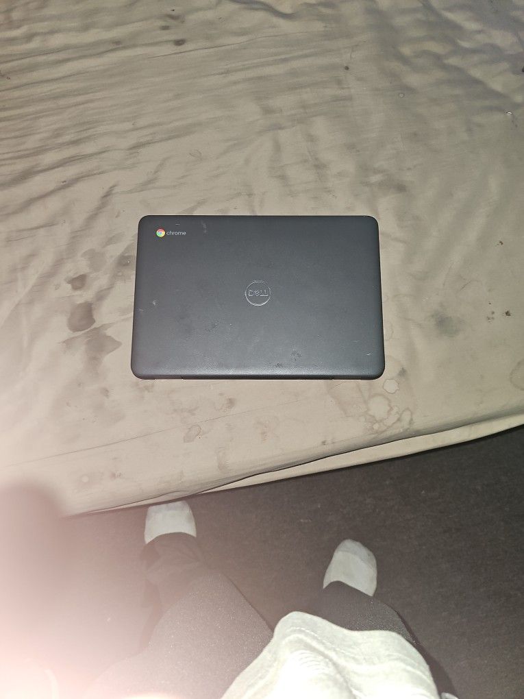 Dell Chromebook 11 3100 11.6