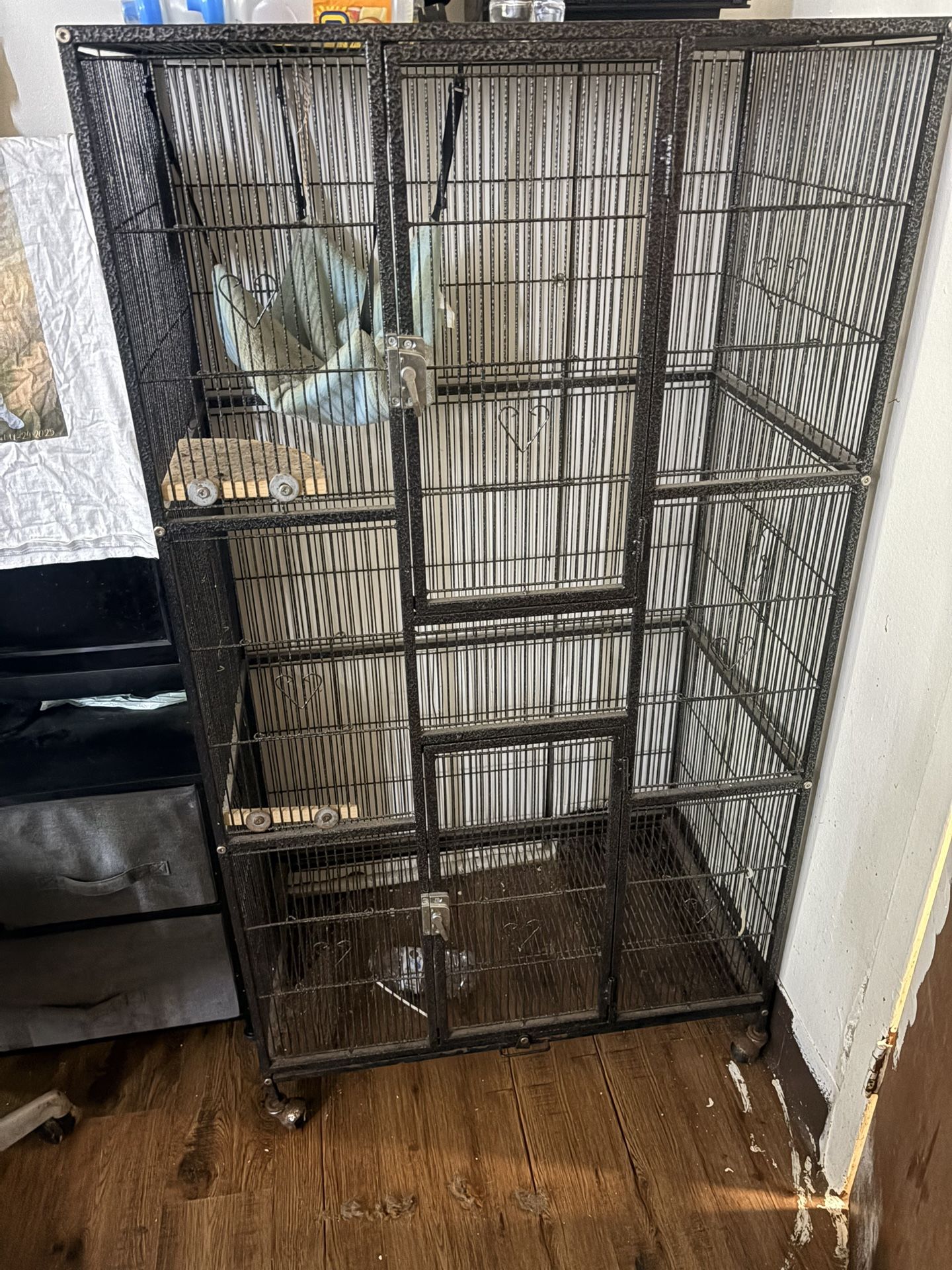 Bird Cage