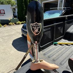 Left Below Knee Prosthetic Leg With Foot Las Vegas Raider Theme 