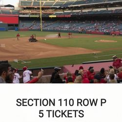 Savannah Bananas (5 tickets Field Friday)