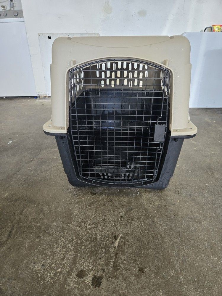 Dog House