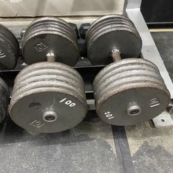 100lb Dumbbells 