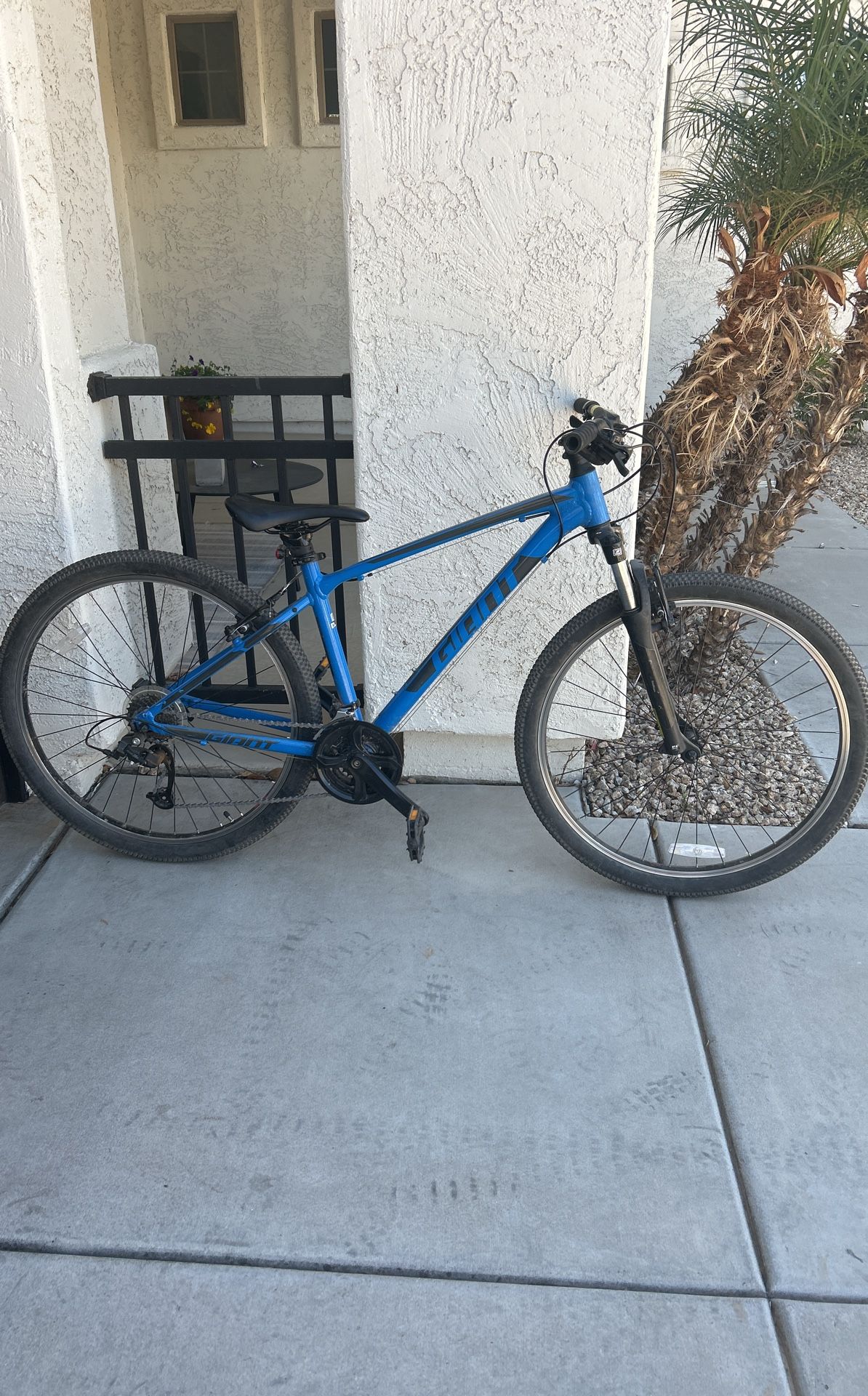 Blue Mountain Bike