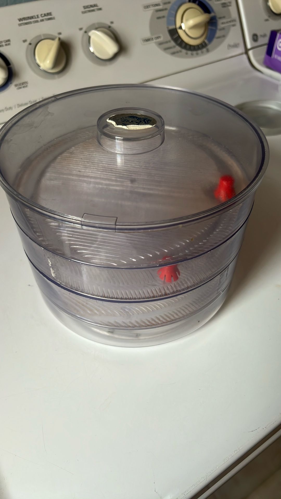 Seeds/ Beans Sprouting Kit