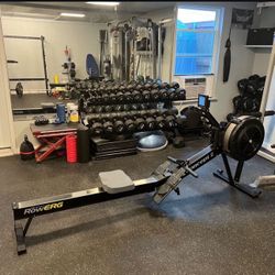 Concept 2 RowERG Model D PM5 Rower