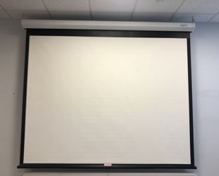 Da-Lite Projection Screen