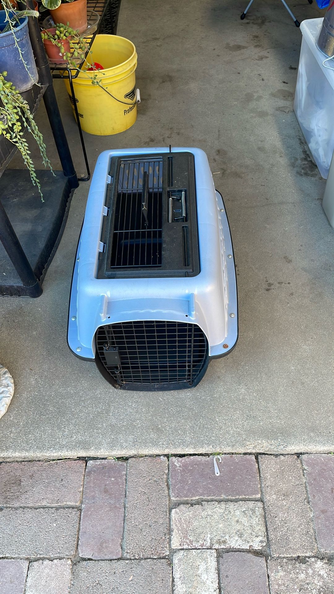 New Small Dog Kennel For 40.00 Need Gone