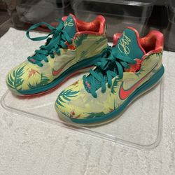 Nike LeBron South Beach