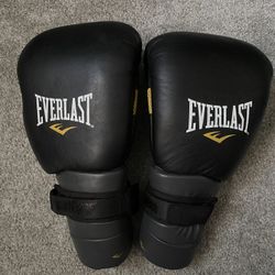 Everlast Protex 3 Boxing Gloves